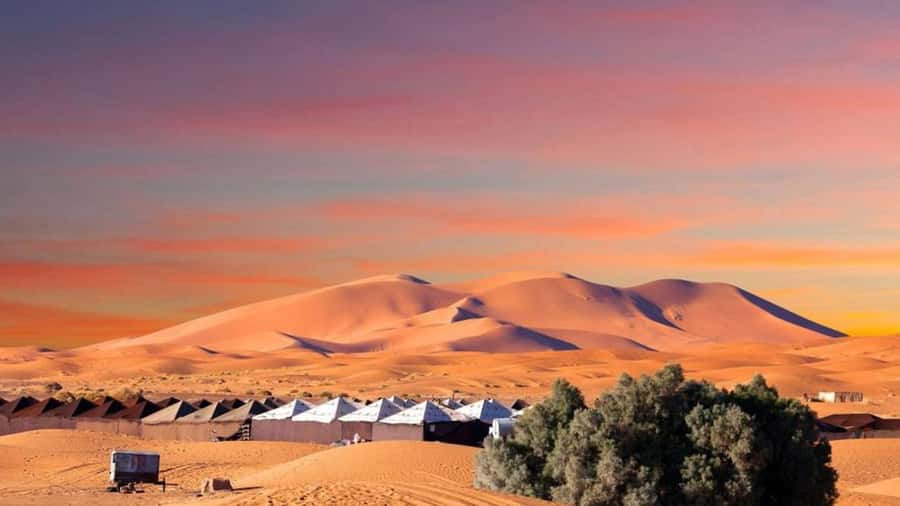 From Fes: 2-Day Merzouga Desert Trip w/Luxury Tent & Dinner - Key points at a glance