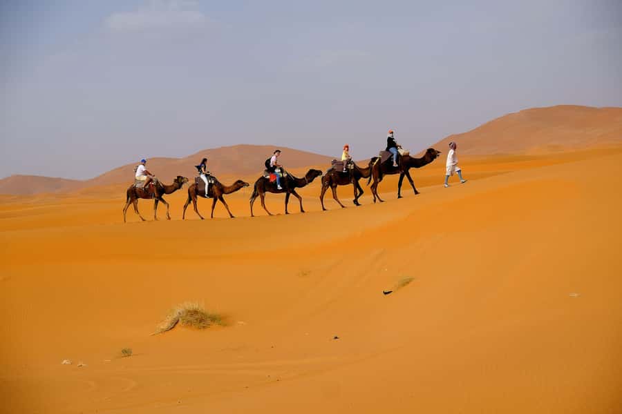 From Fes: 2-Day Merzouga Desert Trip w/Luxury Tent & Dinner - A luxury tent instead of a basic camp