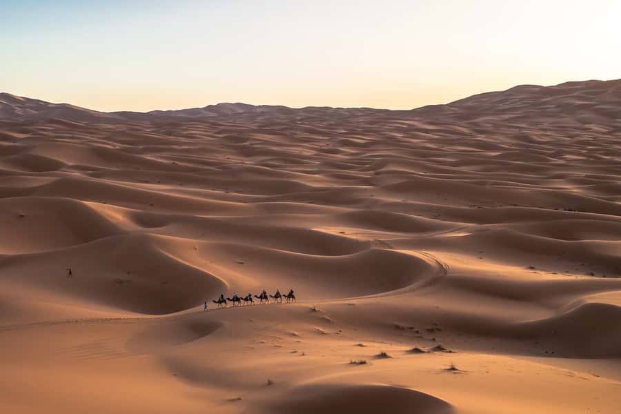 From Fes: 2-Day Merzouga Desert Trip w/Luxury Tent & Dinner - How good are the drivers and guides?
