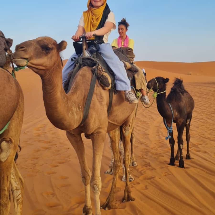 From Fes: 2 Day Round Trip Via Merzouga Desert & Camel Trek - From Fes to Ifrane, the trip changes character