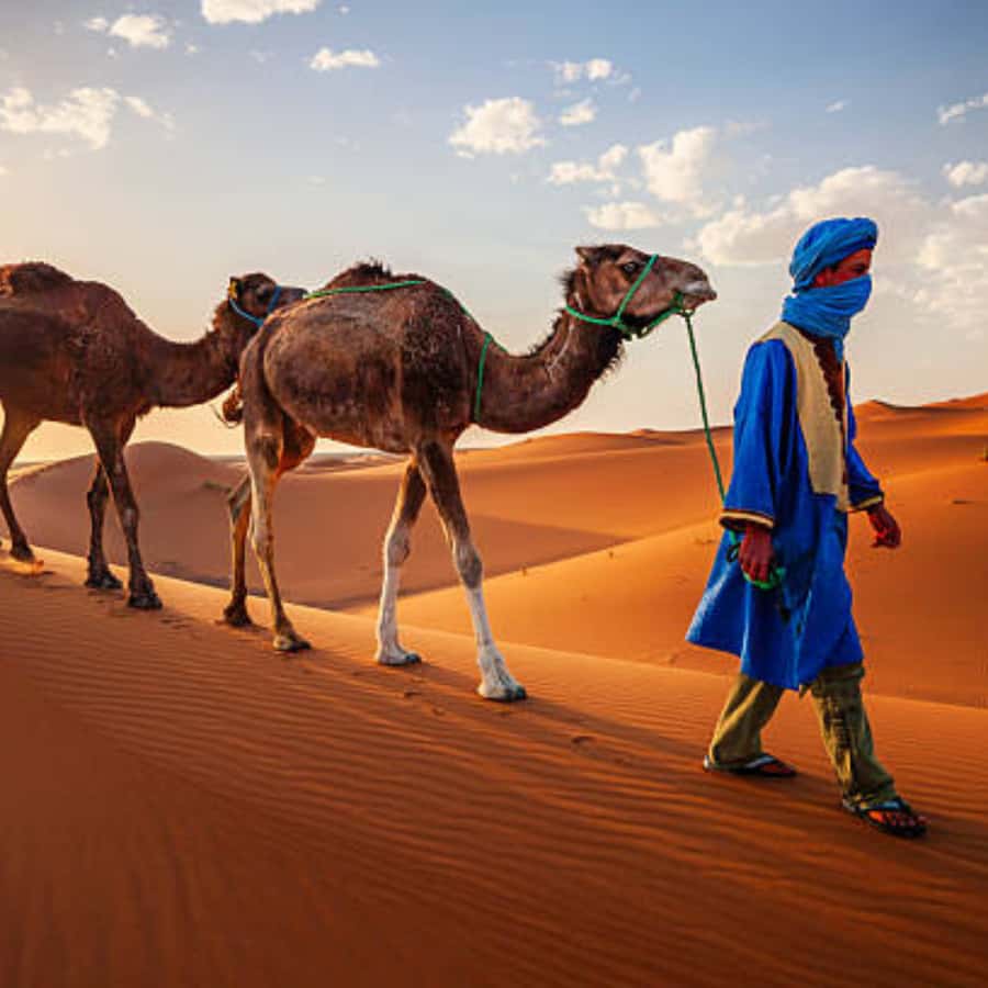 From Fes: 2 Day Round Trip Via Merzouga Desert & Camel Trek - Midelt provides the practical lunch stop
