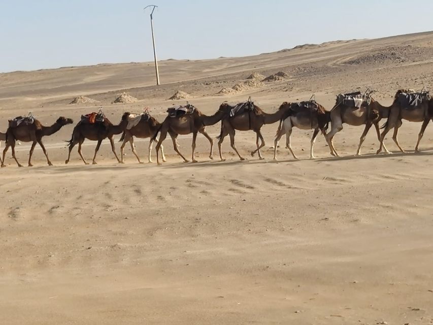 From Fes: 2 Day Round Trip Via Merzouga Desert & Camel Trek - A 45-minute camel ride to the desert camp