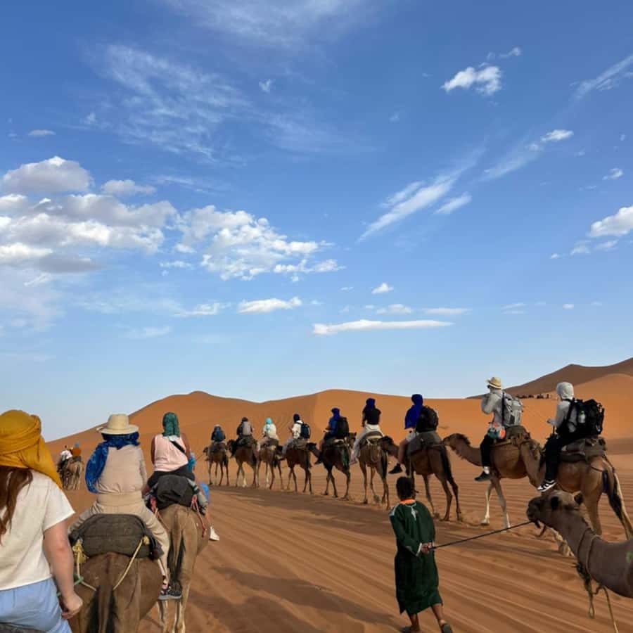 From Fes: 2 Day Round Trip Via Merzouga Desert & Camel Trek - Barbary monkeys in the Middle Atlas cedar forest