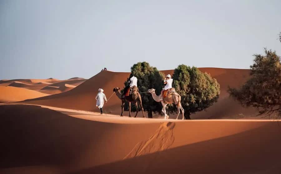 From Fes: 3-Day Luxury Desert Tour to Marrakech via Merzouga - Why this route works, and where it asks a lot of you