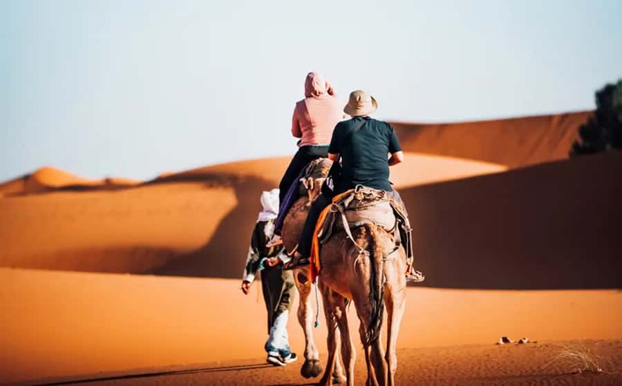 From Fes: 3-Day Luxury Desert Tour to Marrakech via Merzouga - Your Merzouga night: standard or luxury camp?