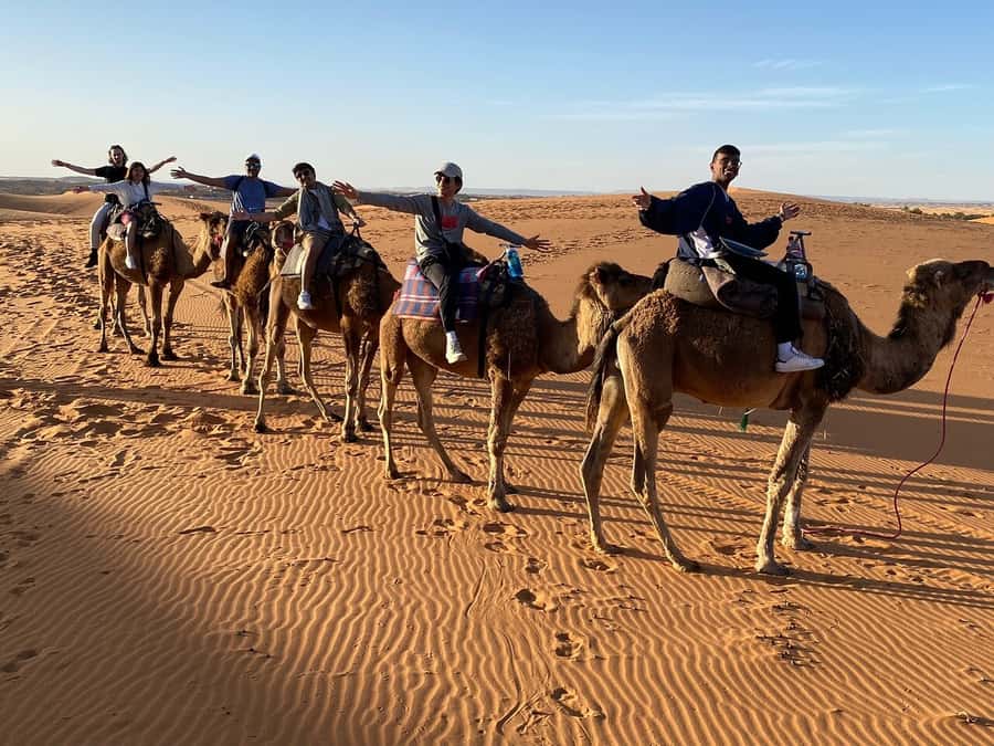 From Fes: 3-Day Luxury Desert Tour to Marrakech via Merzouga - What the $272 price really buys