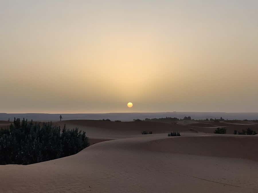 From Fes: 3-Day Luxury Desert Tour to Marrakech via Merzouga - Who should book this three-day desert route?