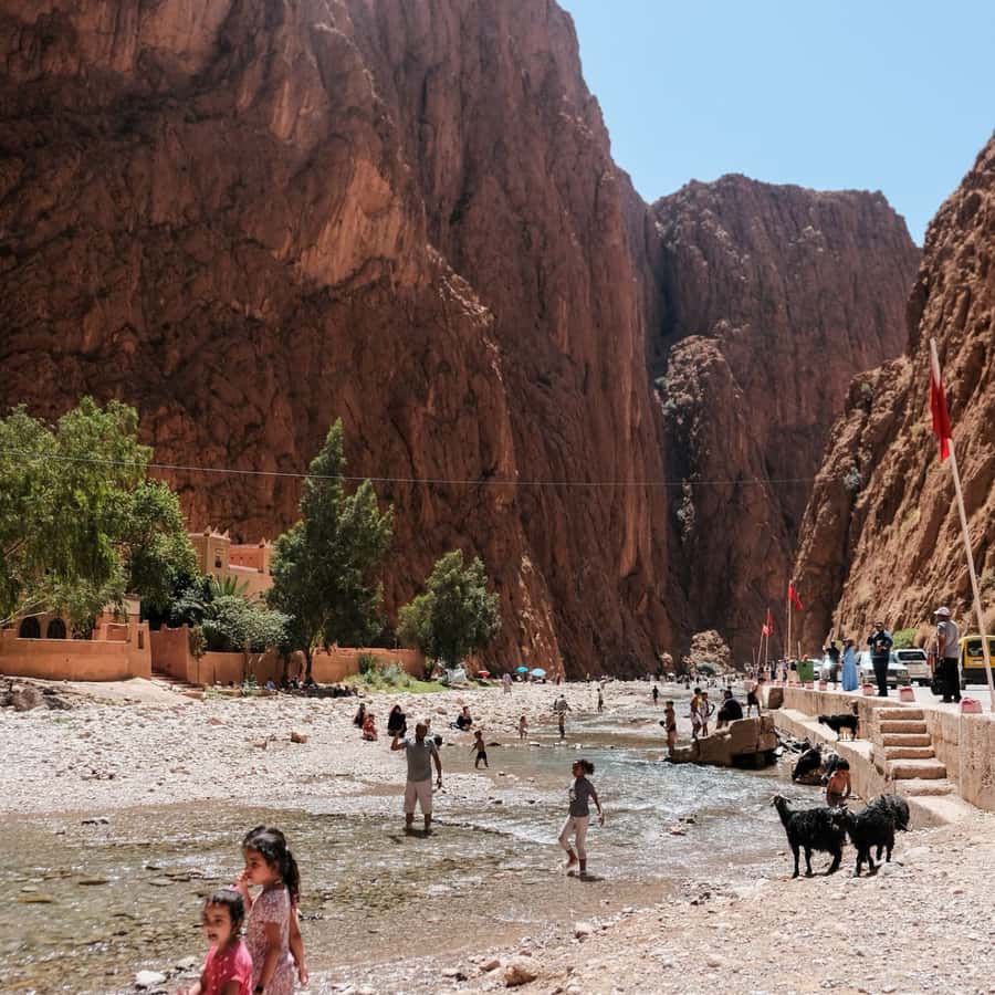 From Fes: 3 Day Magical Desert Camel Trek To Marrakech - Accommodation, meals, and the value of the route
