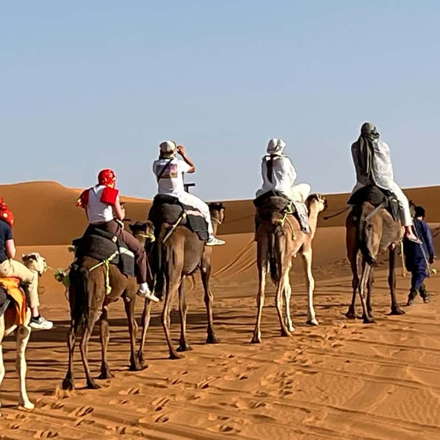 From Fes: 3 Day Magical Desert Camel Trek To Marrakech - Who should book this three-day crossing