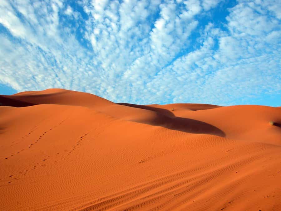 From Fes: 3-Days 2-Nights Desert Tour to Marrakech - Who will enjoy this tour most