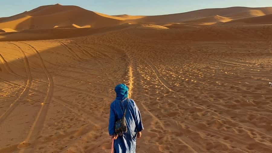From Fes: 3 Days and 2 Nights Desert Trip to Marrakech - Day one: from Fes to the cedar forest