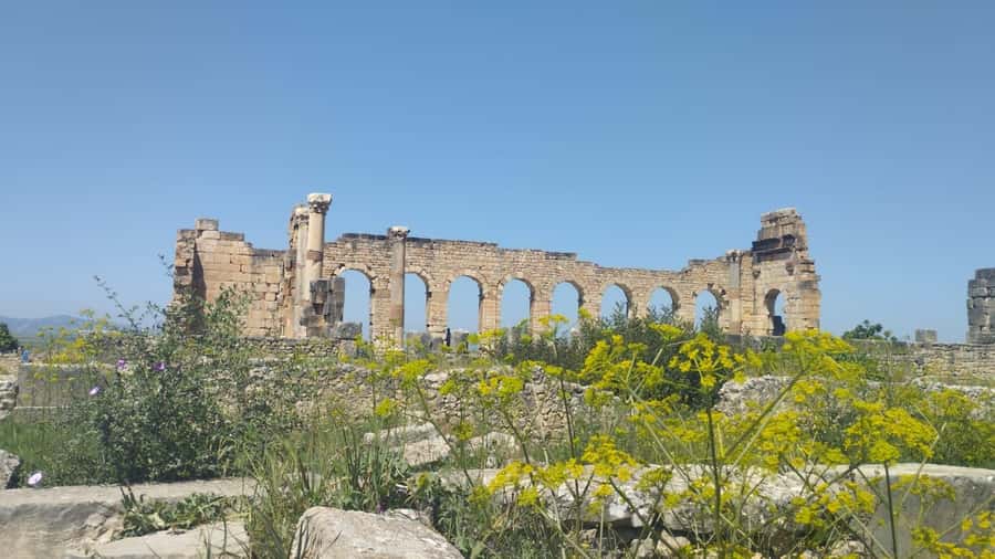 From Fes: Meknes Volubilis and Moulay Idriss Day Trip - Lunch and the shape of the day