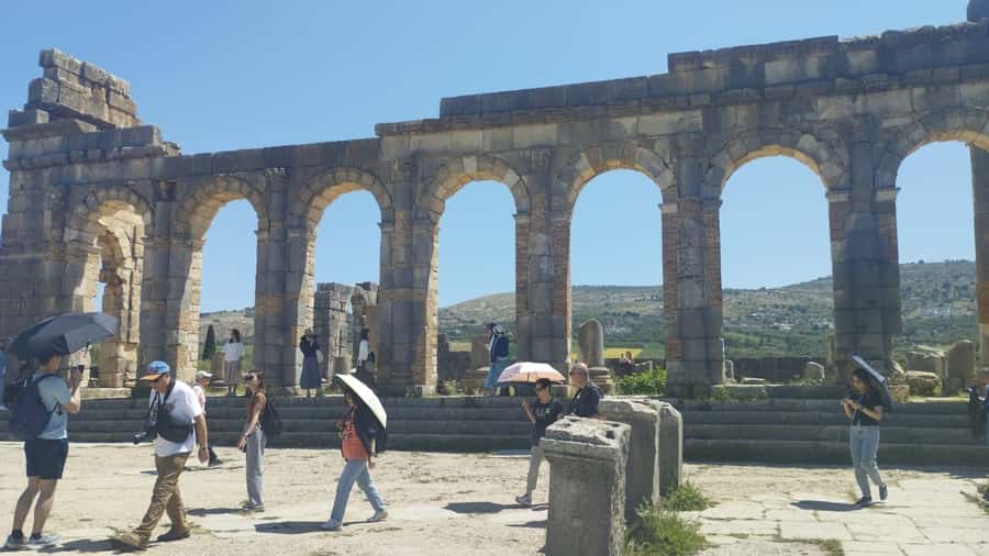 From Fes: Meknes Volubilis and Moulay Idriss Day Trip - Should you pay for local guides?