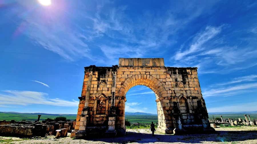 From Fes: Meknes Volubilis and Moulay Idriss Day Trip - Who will enjoy this excursion?