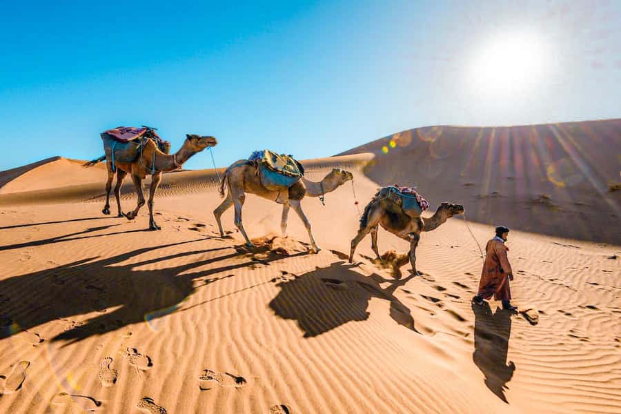 From Fes to Marrakech: 3-Day Sahara Desert Discovery Tour - The Erg Chebbi camel ride and desert camp