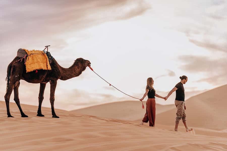 From Fes To Marrakech: 3-Day Sahara Desert Tour & Camel Trek - Is the $182 price fair?