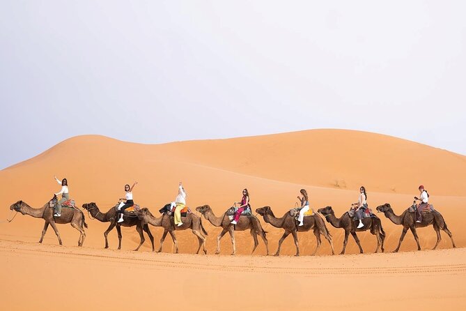 From Fes: Unforgettable Desert Tour to Marrakech 3-Day - The Sahara is the reason to take this route