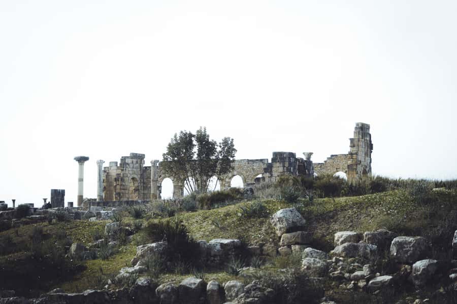From Fes: Volubilis, Moulay Idriss and Meknes Full-Day Trip - Key points at a glance
