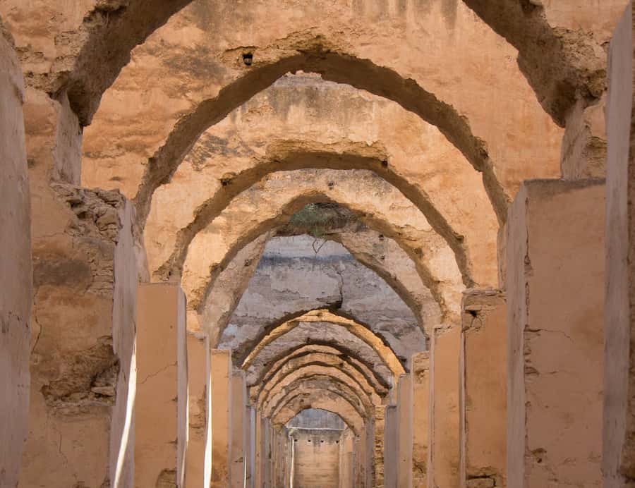From Fes: Volubilis, Moulay Idriss and Meknes Full-Day Trip - Volubilis gives the day its reason to exist