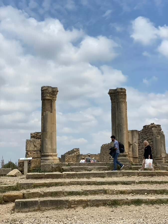 From Fes: Volubilis, Moulay Idriss, & Meknes Full-Day Trip - What the $18 price really covers