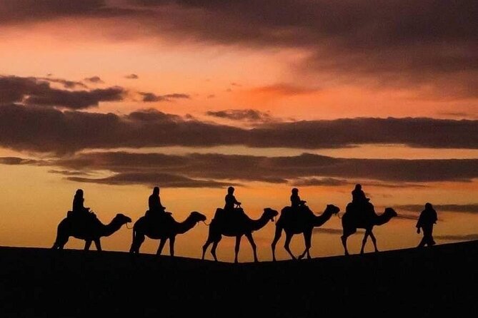 From Fez: 2-Day Desert Tour with Return to Fez or Marrakech - Who will enjoy this trip most?