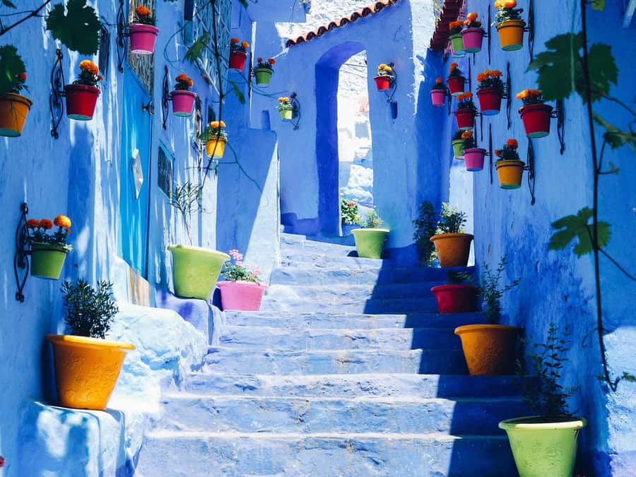 From Fez: Day Tour to the Blue Town of Chefchaouen - The minibus ride through northern Morocco