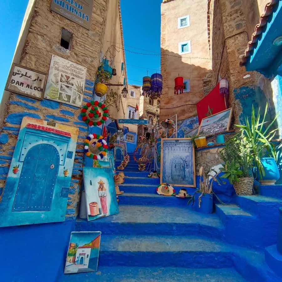 From Fez : Memorable Day Trip to Chefchaouen the Blue City - What the $20 Price Really Buys
