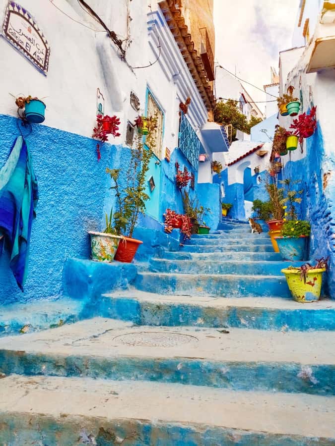 From Fez : Memorable Day Trip to Chefchaouen the Blue City - Sedd Sid Echahed Lake: A Scenic Break
