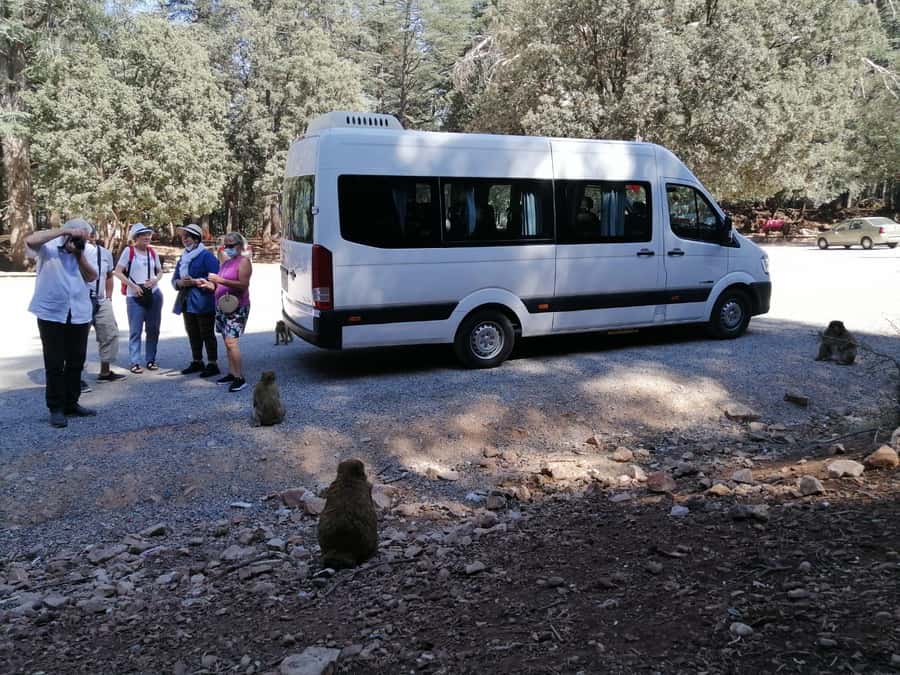 From Fez: Middle Atlas Day Trip with Ifrane National Park - Mountain views at Ain Vital