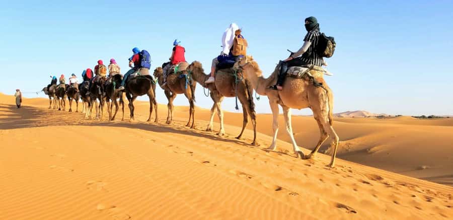 From Fez: Round-Trip Overnight Merzouga Desert Tour - The long road from Fez to Merzouga