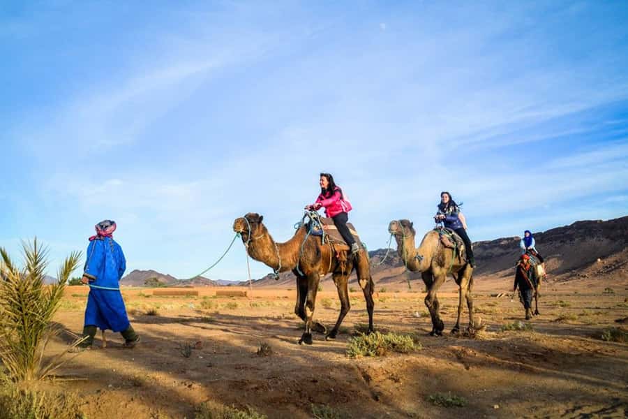 From Marrakech: 2-Day Desert Excursion - Key points to know before booking