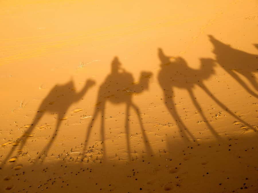 From Marrakech: 2-Day Zagora Desert Camp Trip - Transport, group size, and the real value