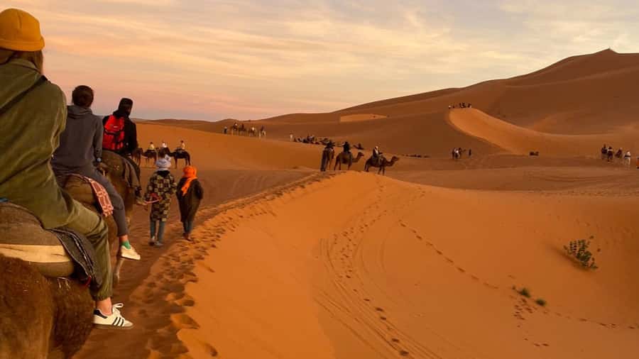 From Marrakech: 2 Days Desert trip back to Fes or Marrakech - Ouarzazate, the Rose Valley, and the Dades route