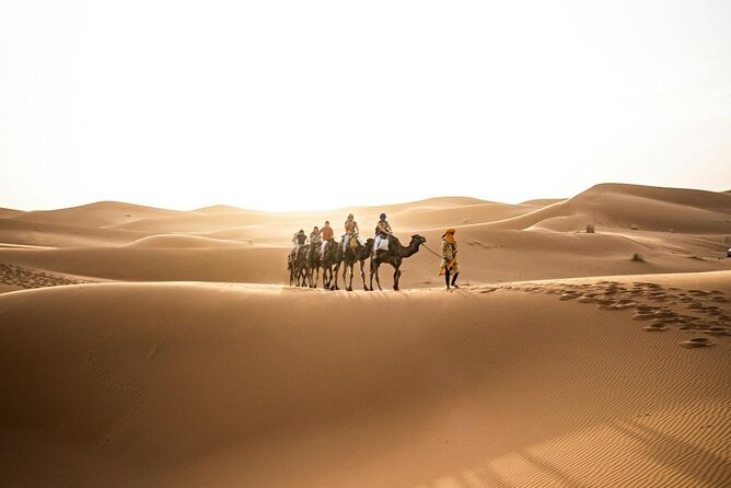 From Marrakech: 3-Day Desert Tour to Agadir - Guides, drivers, and the human side of the trip