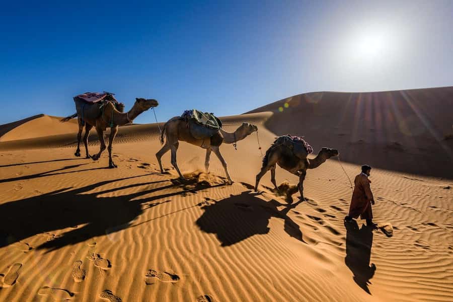 From Marrakech: 3-Day Luxury Desert Tour to Fes via Merzouga - My verdict on the Marrakech to Fes desert tour