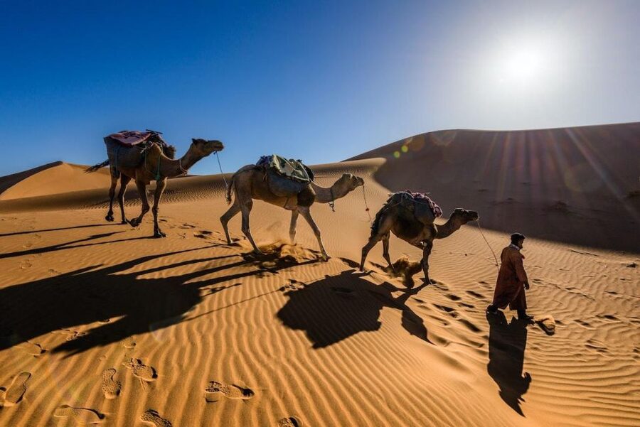 From Marrakech: 3-Day Luxury Desert Tour to Fes via Merzouga - Who should book this tour
