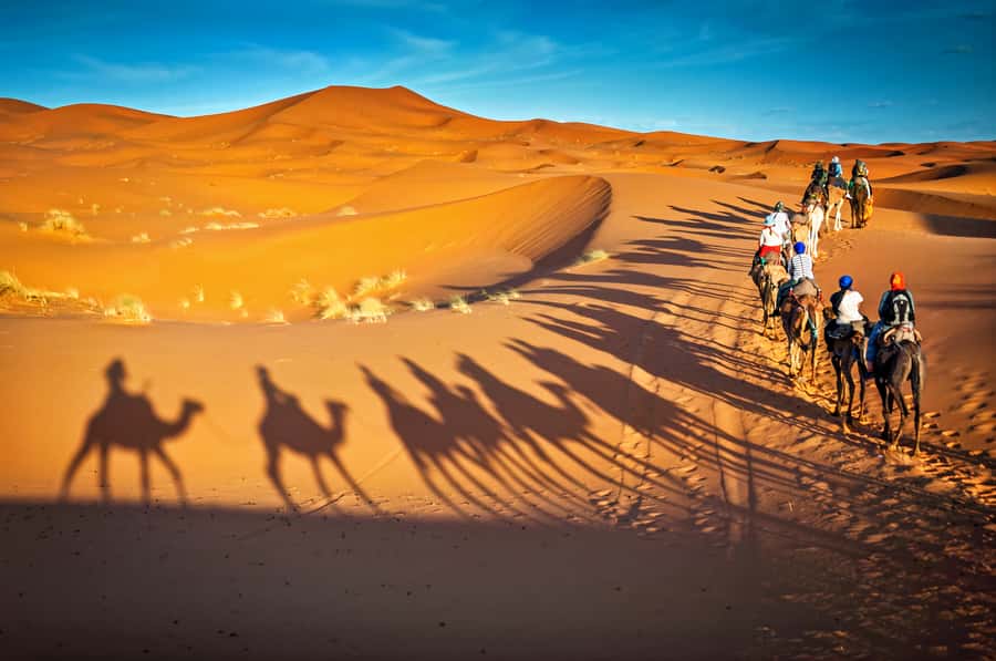 From Marrakech: 3-Day Merzouga and Sahara Desert Tour - Who should book this desert tour?