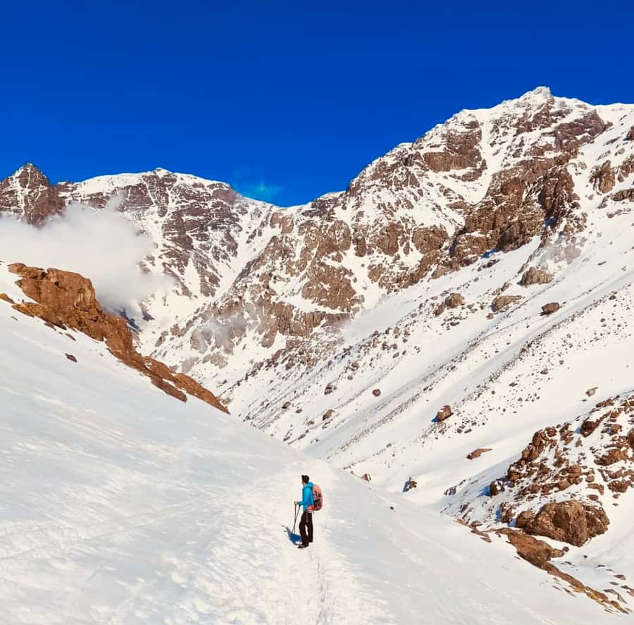 From Marrakech: 3-Day Mount Toubkal Climbing Trek - Is $226 a fair price?