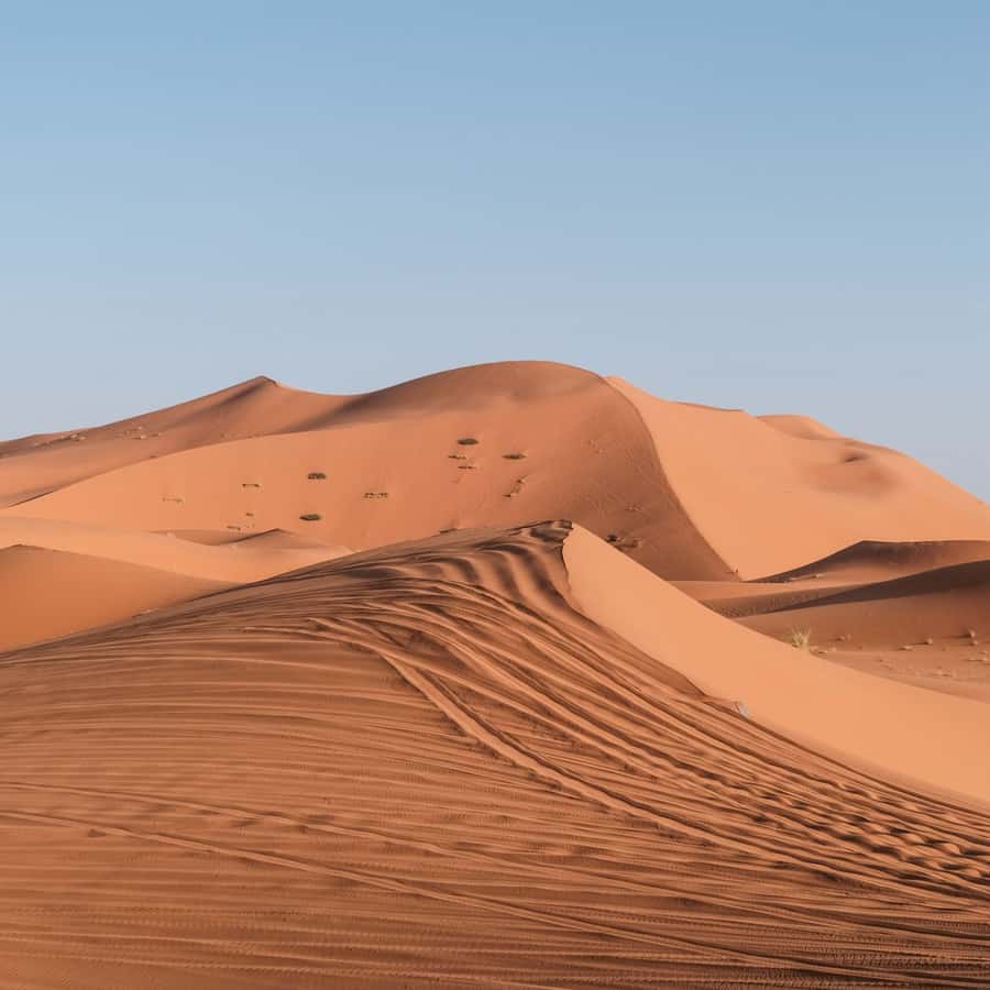 From Marrakech: 3 Day Round Trip To Merzouga Desert & Camel - Camel time and the Erg Chebbi dunes