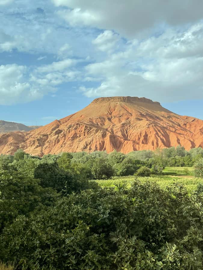 From Marrakech: 3-Day Tour To Magical Desert Merzouga - What the desert camp is really like