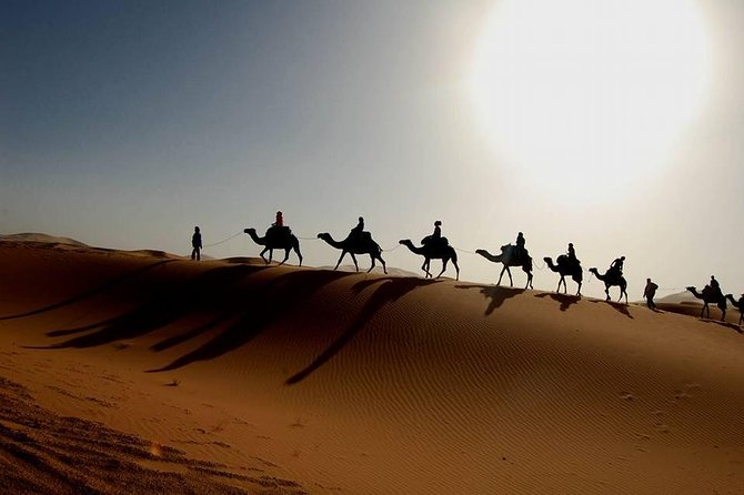 From Marrakech 4 Days Tour To Morocco Sahara Desert - The driver can shape the whole trip