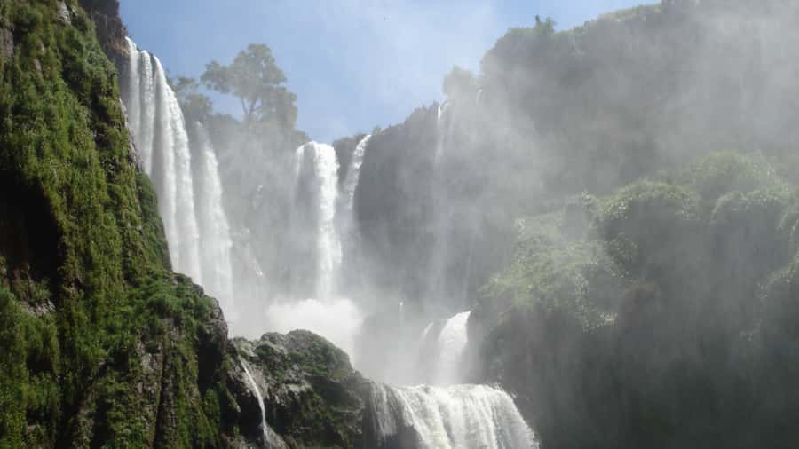 From Marrakech: A day Trip to Ouzoud waterfalls - Key points to know before booking