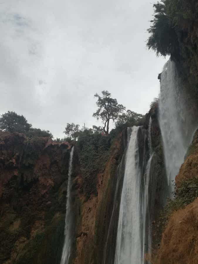 From Marrakech: A day Trip to Ouzoud waterfalls - Barbary macaques and the natural setting