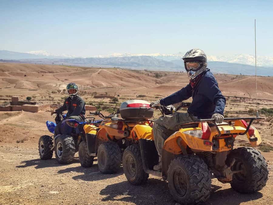From Marrakech: Adventure Quad Ride in La Palmeraie - Dust, heat, and what to wear