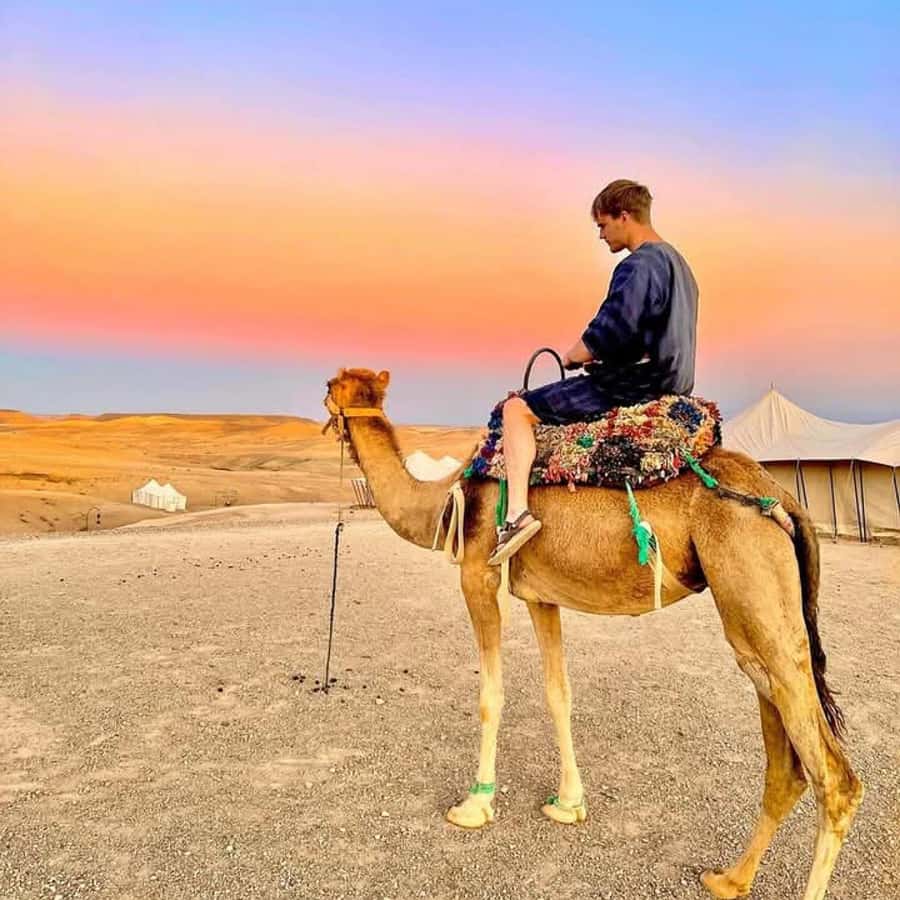 From Marrakech: Agafay Desert Dinner with Quad & Camel Ride - Lalla Takerkoust: a short pause on the way