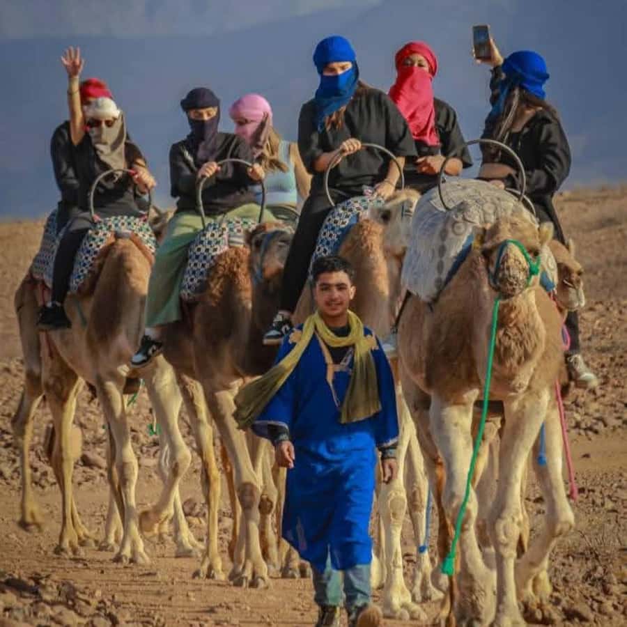 From Marrakech: Agafay Desert Dinner with Quad & Camel Ride - Dinner, mint tea, music, and the fire show