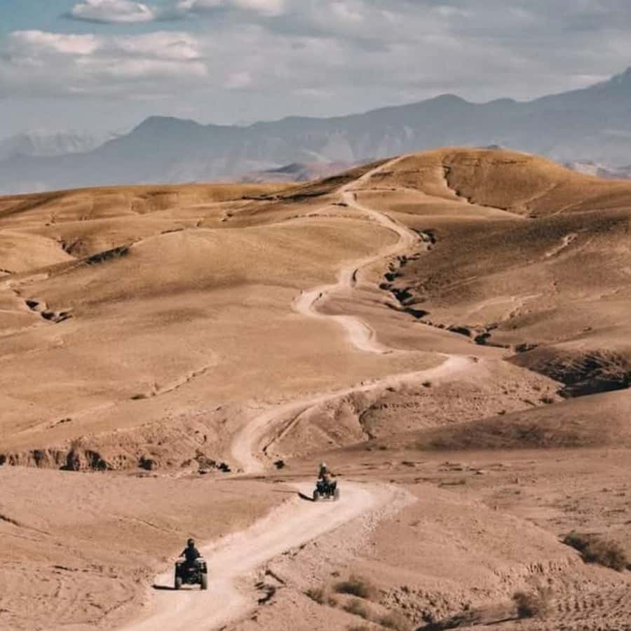 From Marrakech: Agafay Desert Dinner with Quad & Camel Ride - Is $23 good value?