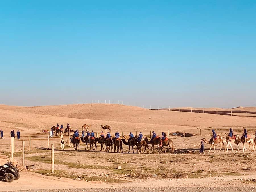 From Marrakech: Agafay Desert Sunset, Camel Ride, and Dinner - Leaving Marrakech for the Agafay Desert