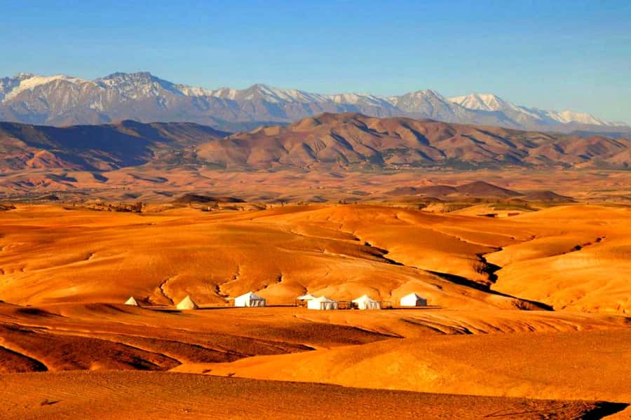 From Marrakech : Agafay Desert Sunset Dinner with Camel Ride - Booking Advice and Small Practical Details