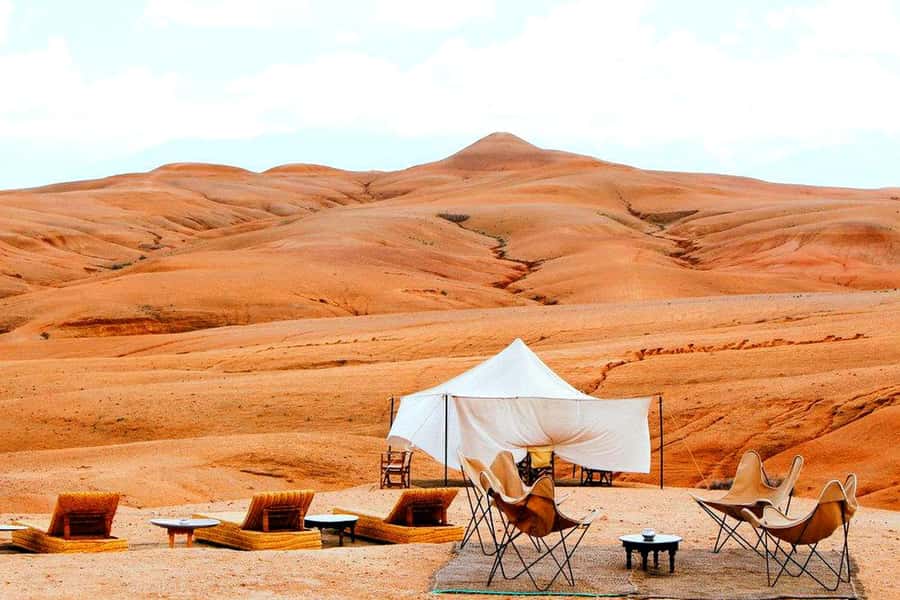 From Marrakech : Agafay Desert Sunset Dinner with Camel Ride - Mint Tea and the Last Light